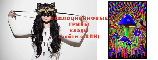 бошки Кулебаки