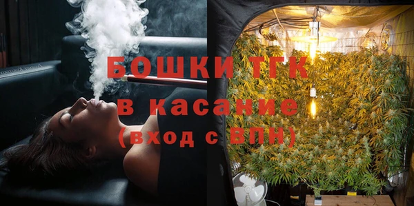 сатива Ладушкин