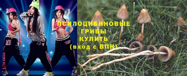 сатива Ладушкин