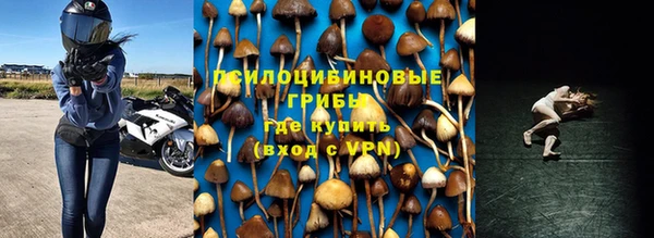 сатива Ладушкин