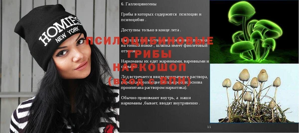 дурь Лабытнанги