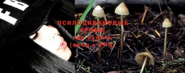 дурь Лабытнанги