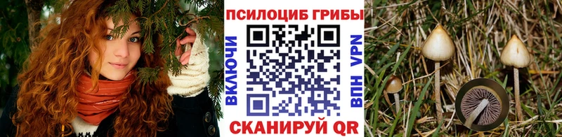 Галлюциногенные грибы Magic Shrooms  Купить закладки  Тында 