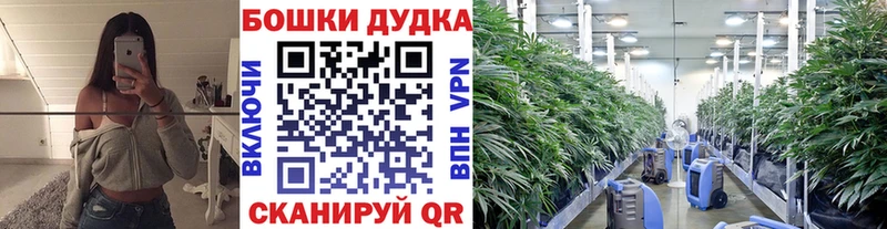 МАРИХУАНА AK-47  Купить закладки  Тында 
